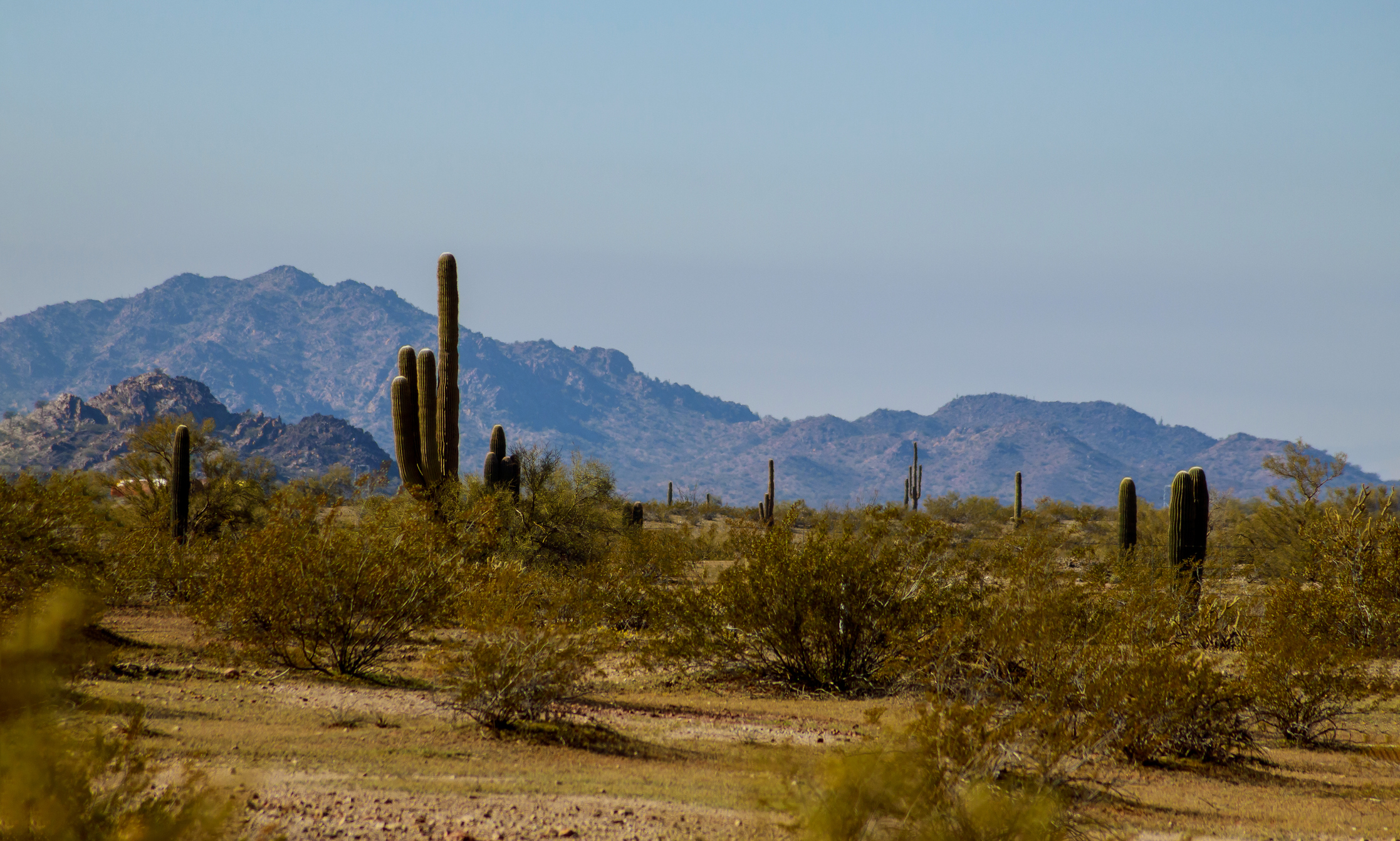 south mountain hiking trail, scottsdale hiking trails, phoenix hiking trails