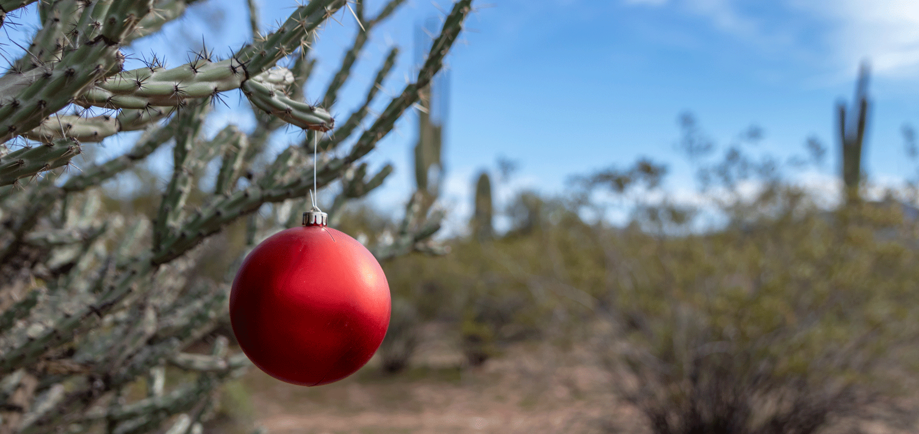 holidays in scottsdale, holidays in arizona, christmas in phoenix, christmas in scottsdale, thanksgiving in arizona