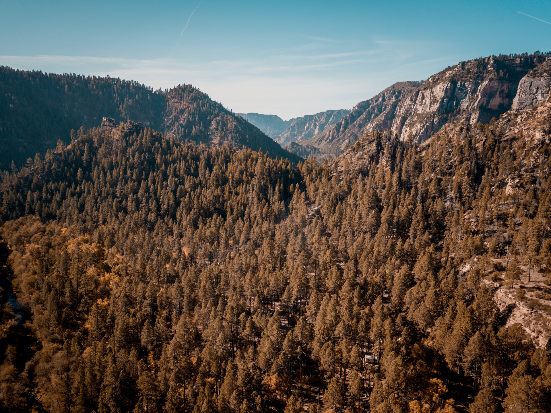 mountains and trees
