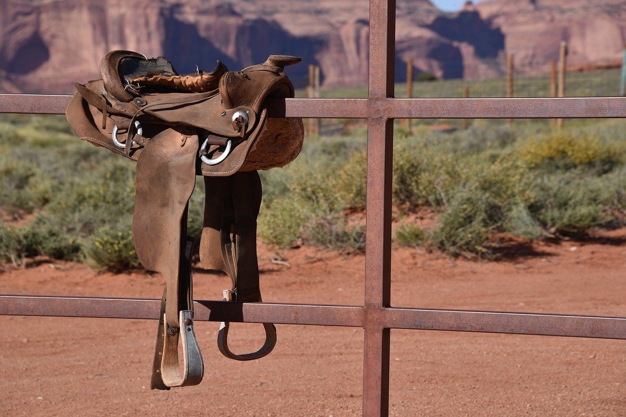 saddle on a fence