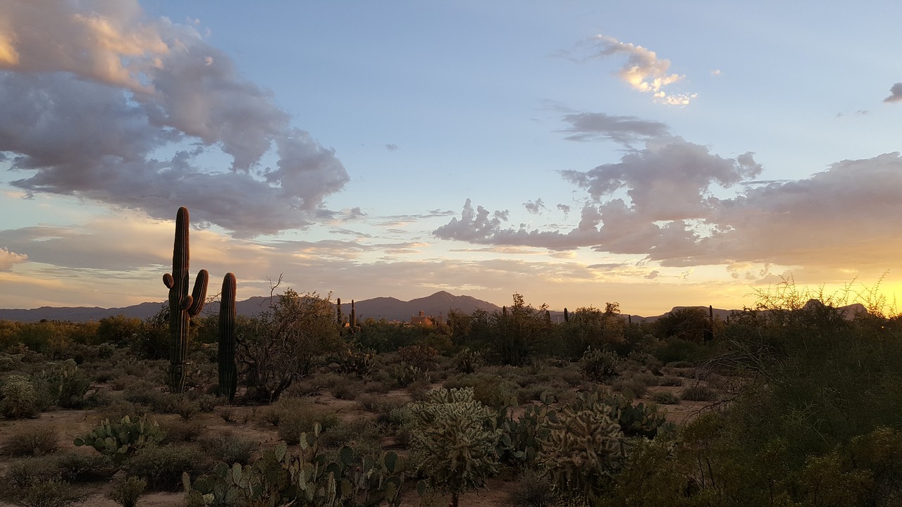 Tucson Homes for Rent