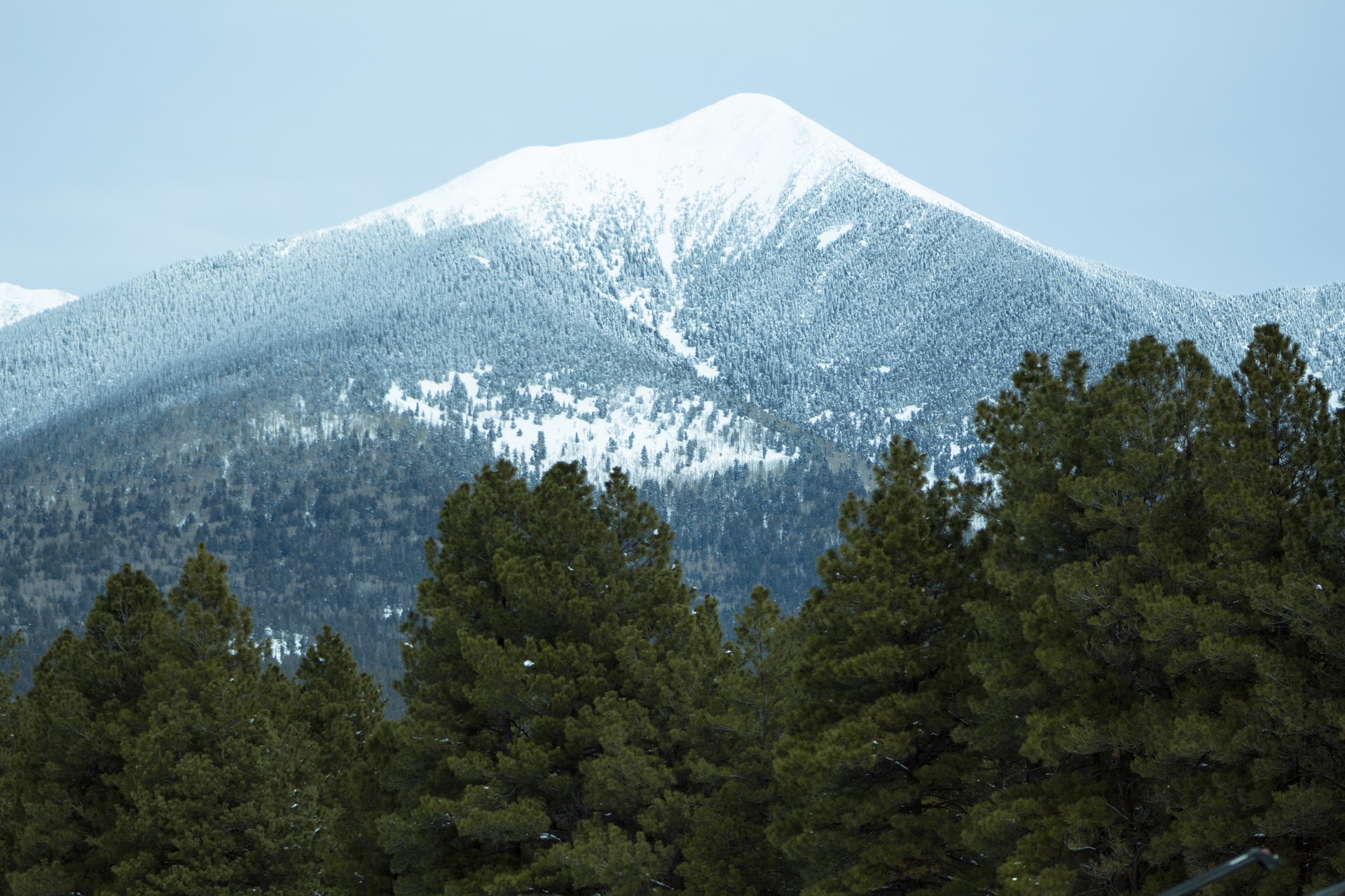 Flagstaff Vacation Rentals for Every Need Stay Porter