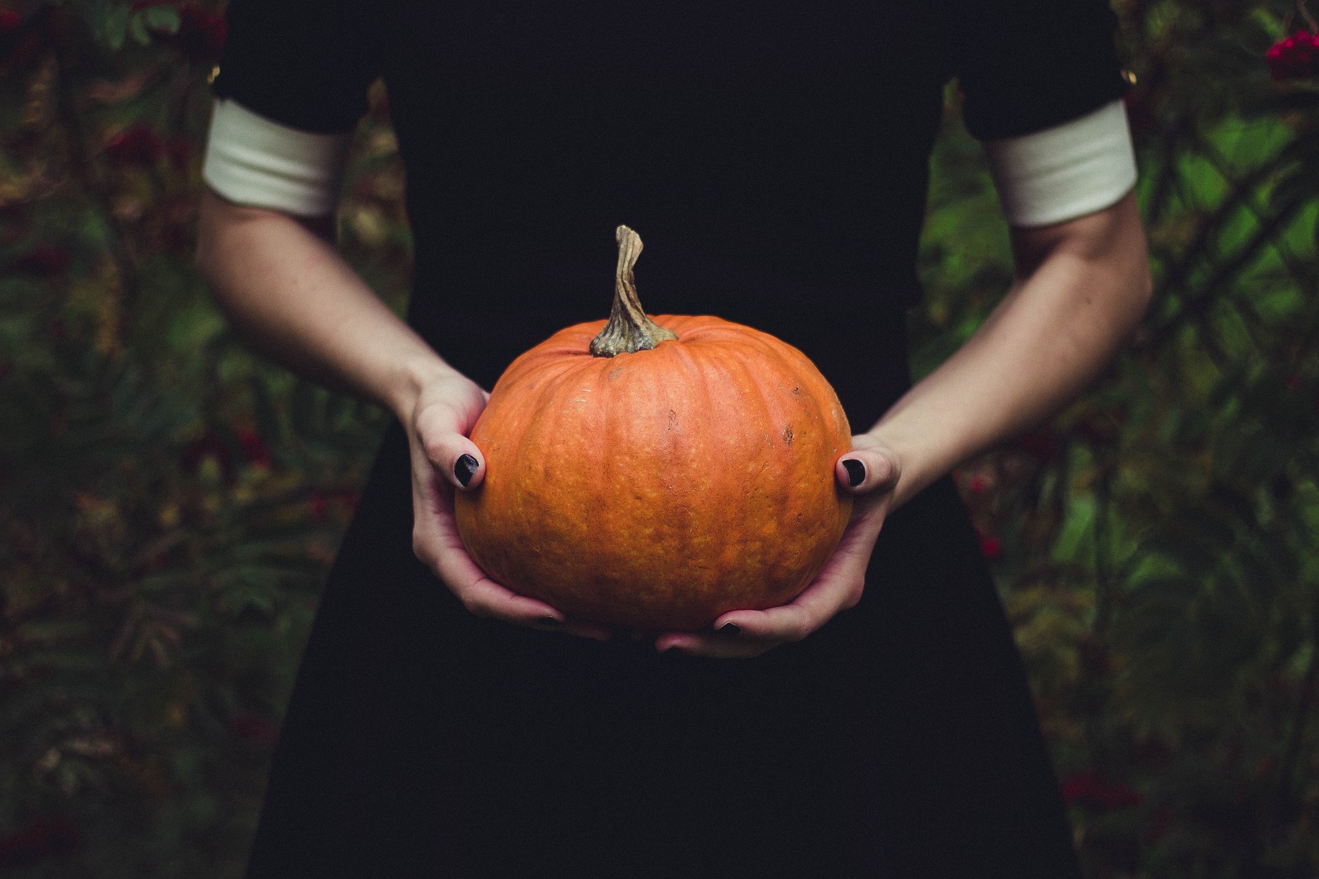 person holding pumpkin