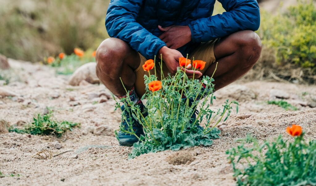 Person looking at flower