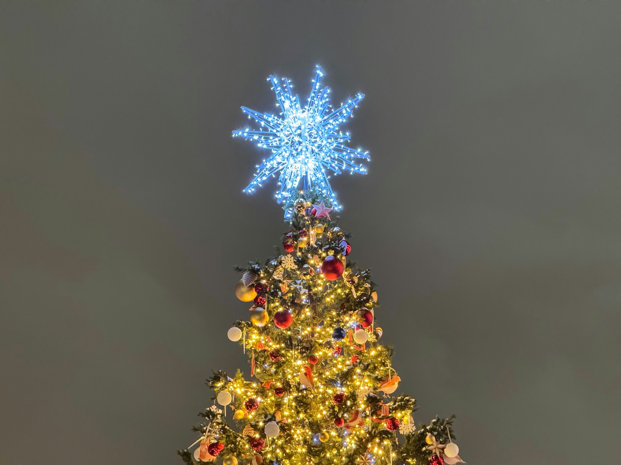 Thanksgiving in Flagstaff Events